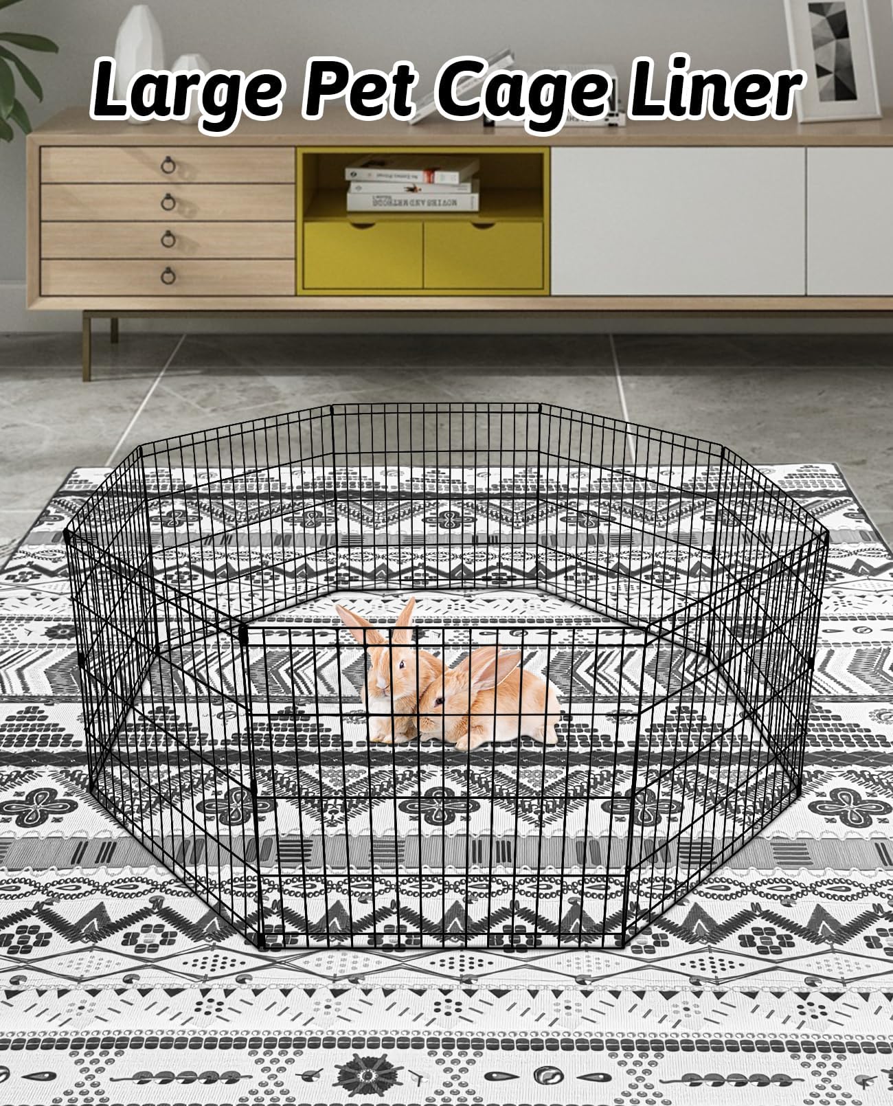 BNOSDM usage balcon chambre salon lapin