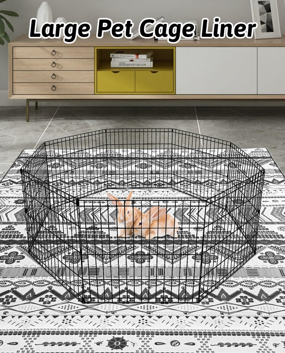 BNOSDM usage balcon chambre salon lapin