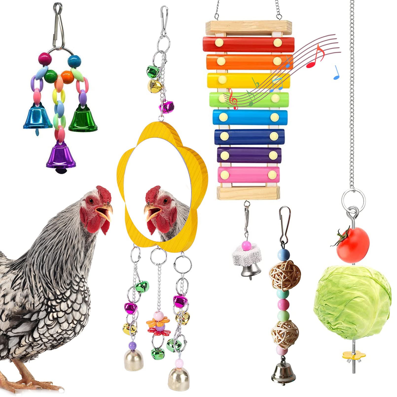 BNOSDM xylophone poules – stimulation auditive et activité ludique pour gallinacés