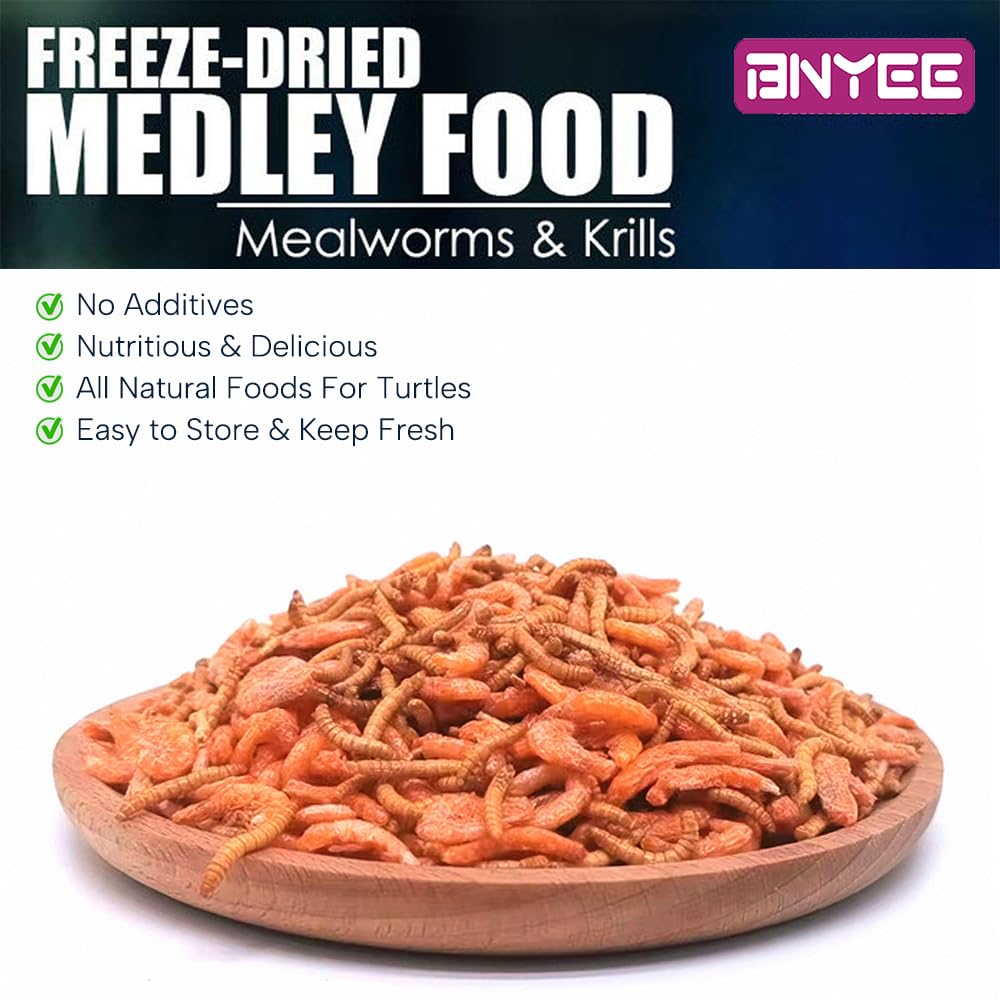 BNYEE Medley vers de farine - alternative naturelle et riche en protéines pour reptiles.