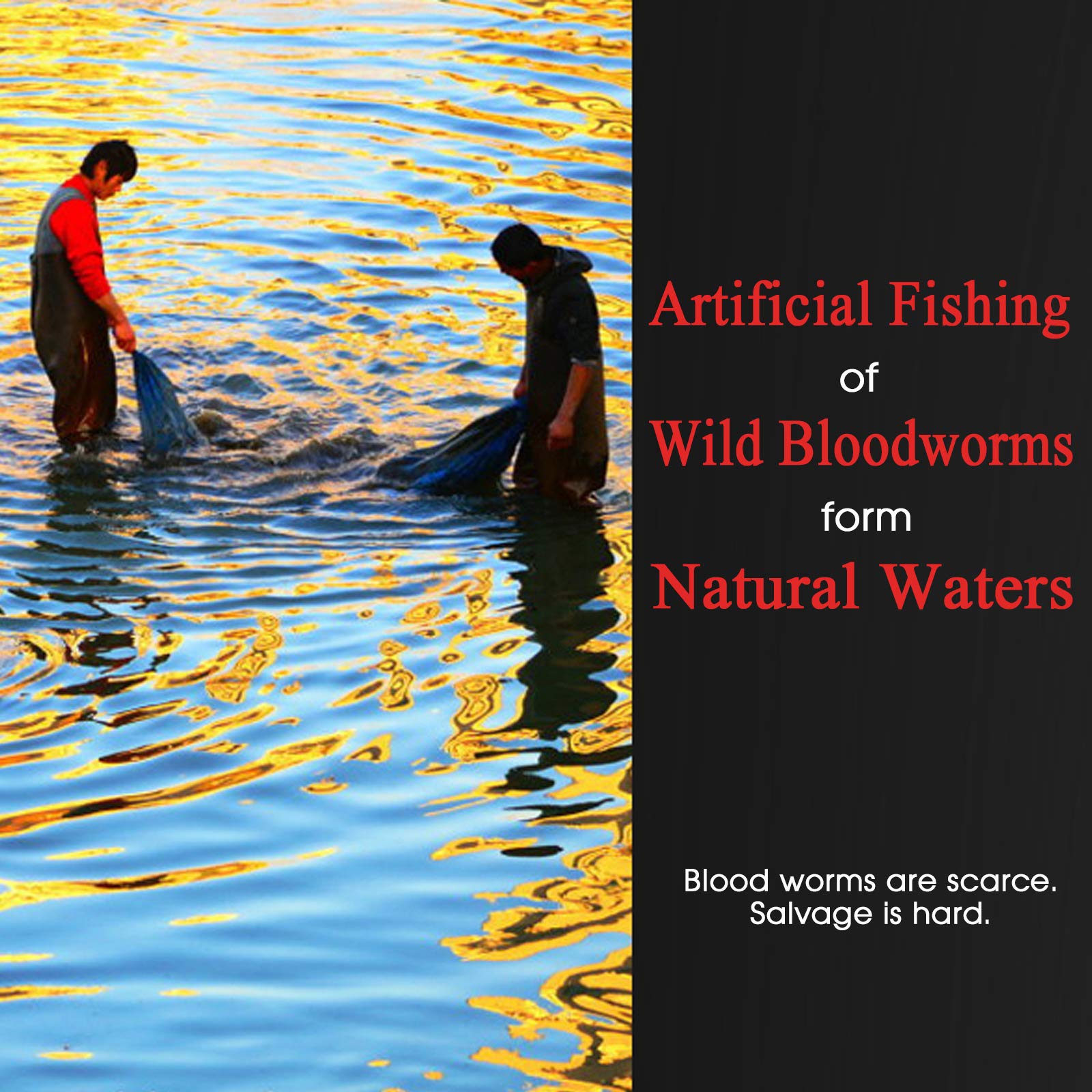 BNYEE nourriture poissons portionnable pour dosage precis et reduction des déchets.