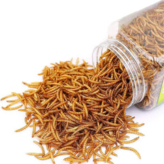 BNYEE vers de farine séchés – emballage pratique pour reptiles.