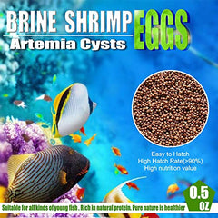 BNYEE œufs de brine prêts à éclore favorisant une alimentation vivante.