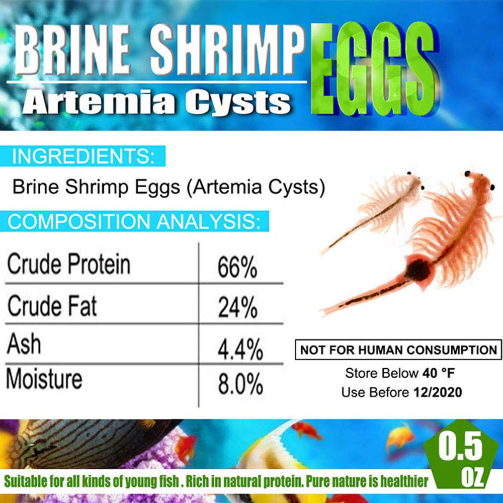 BNYEE nauplis d Artemia vivants pour nourrir rapidement les alevins.