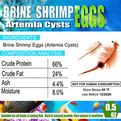 BNYEE nauplis d Artemia vivants pour nourrir rapidement les alevins.