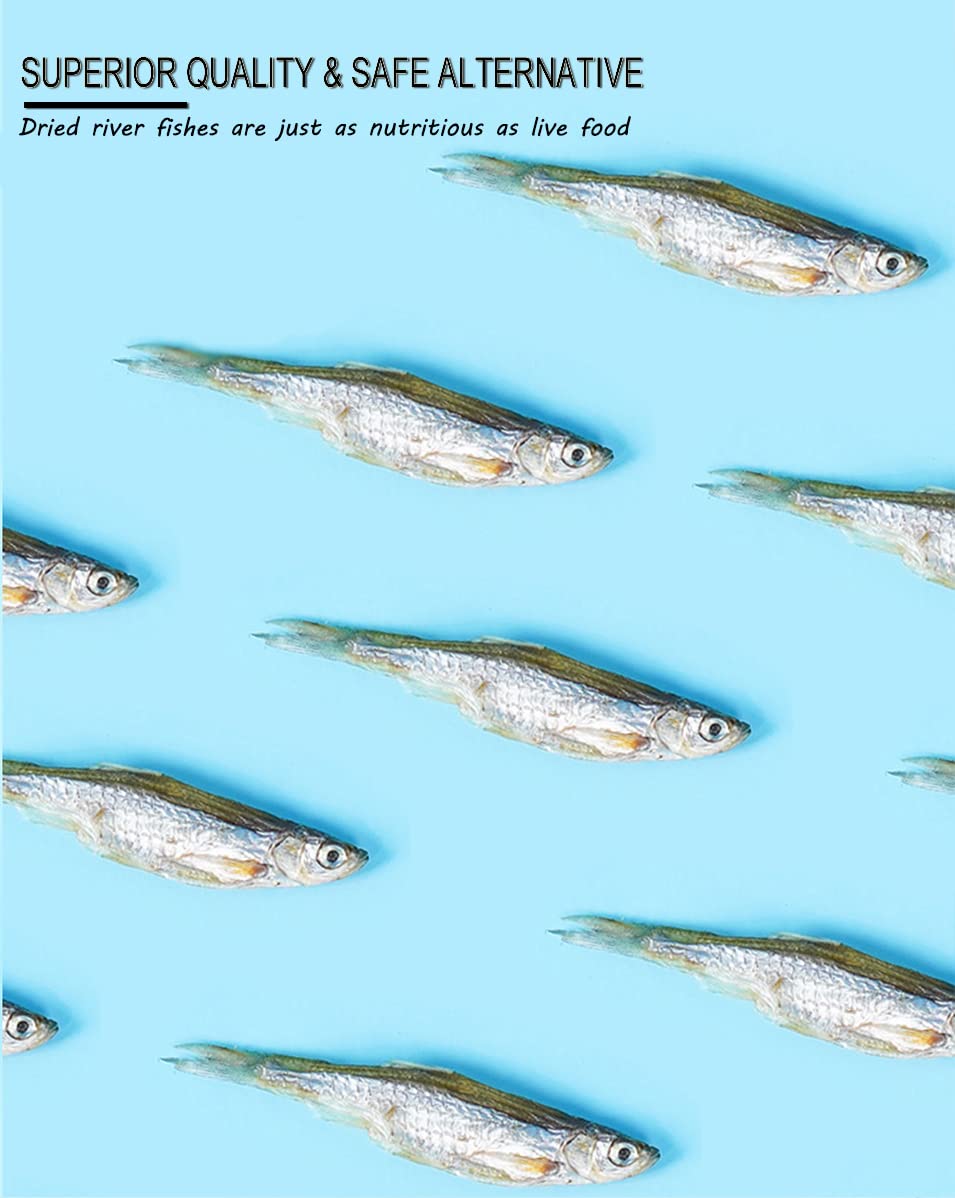 BNYEE Poissons de rivière séchés – couleur vive soutenant l'appétit