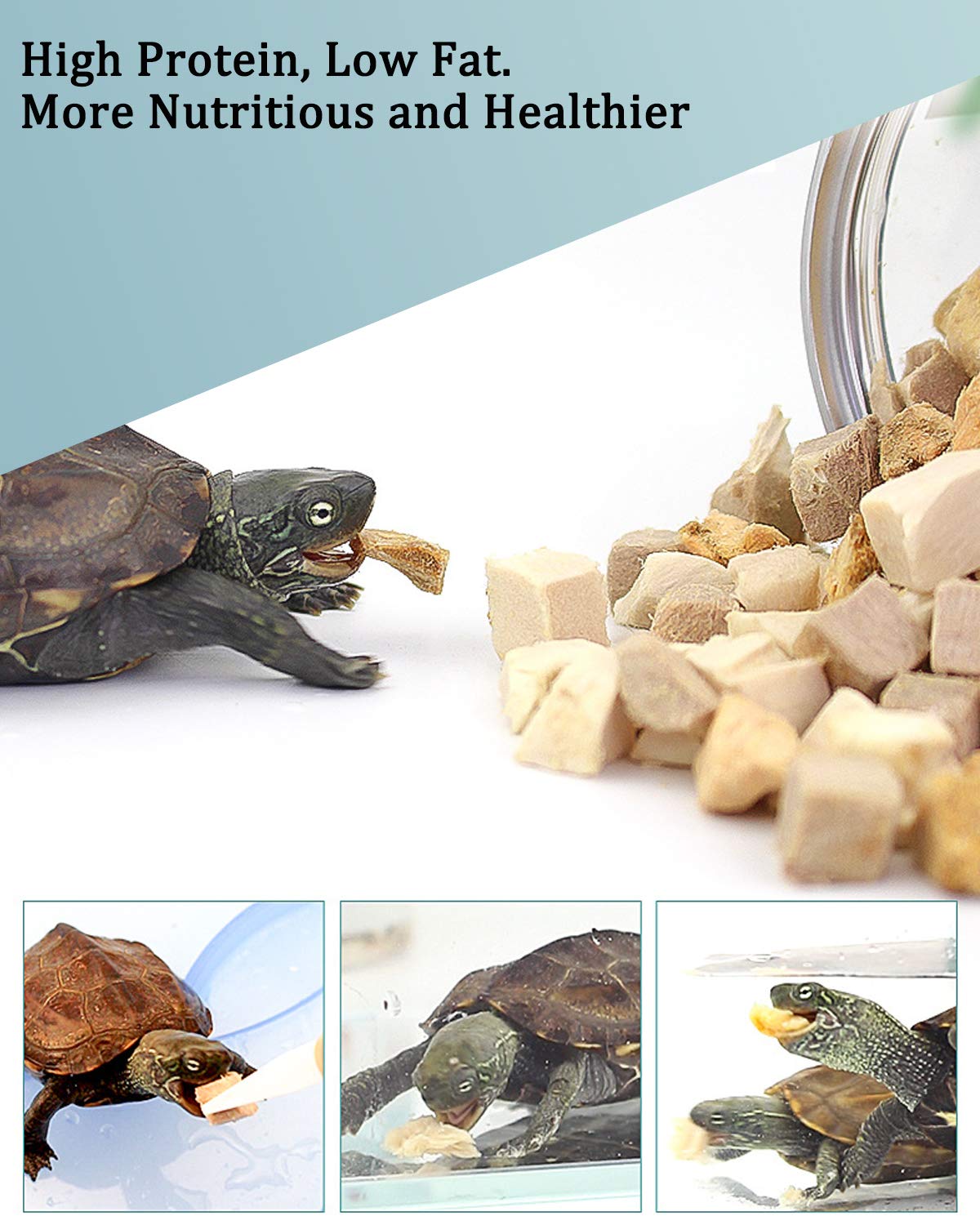 BNYEE tortue réhydratation eau - ramollissement rapide des morceaux.