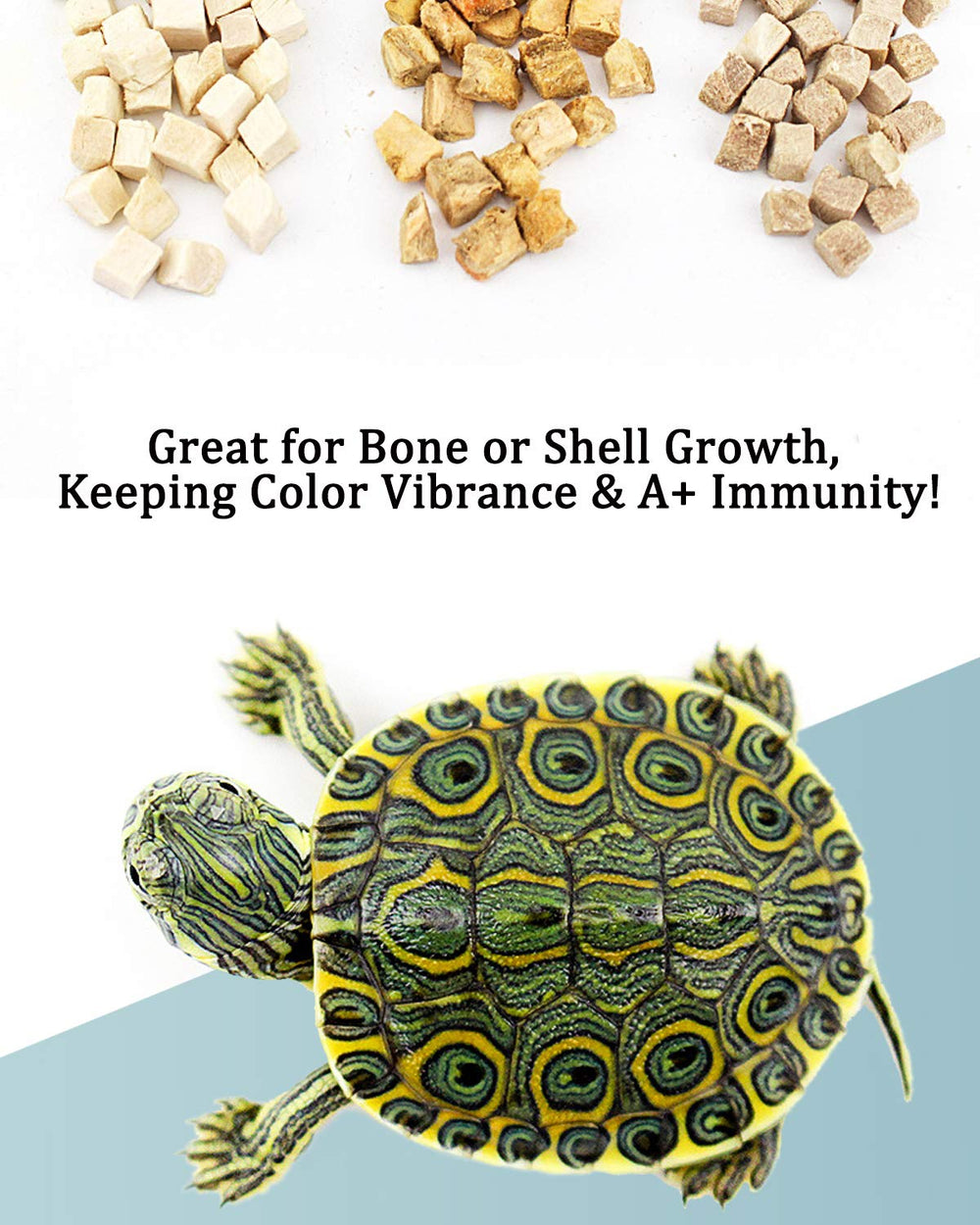 BNYEE tortue sans additifs - sans conservateurs ni colorants.
