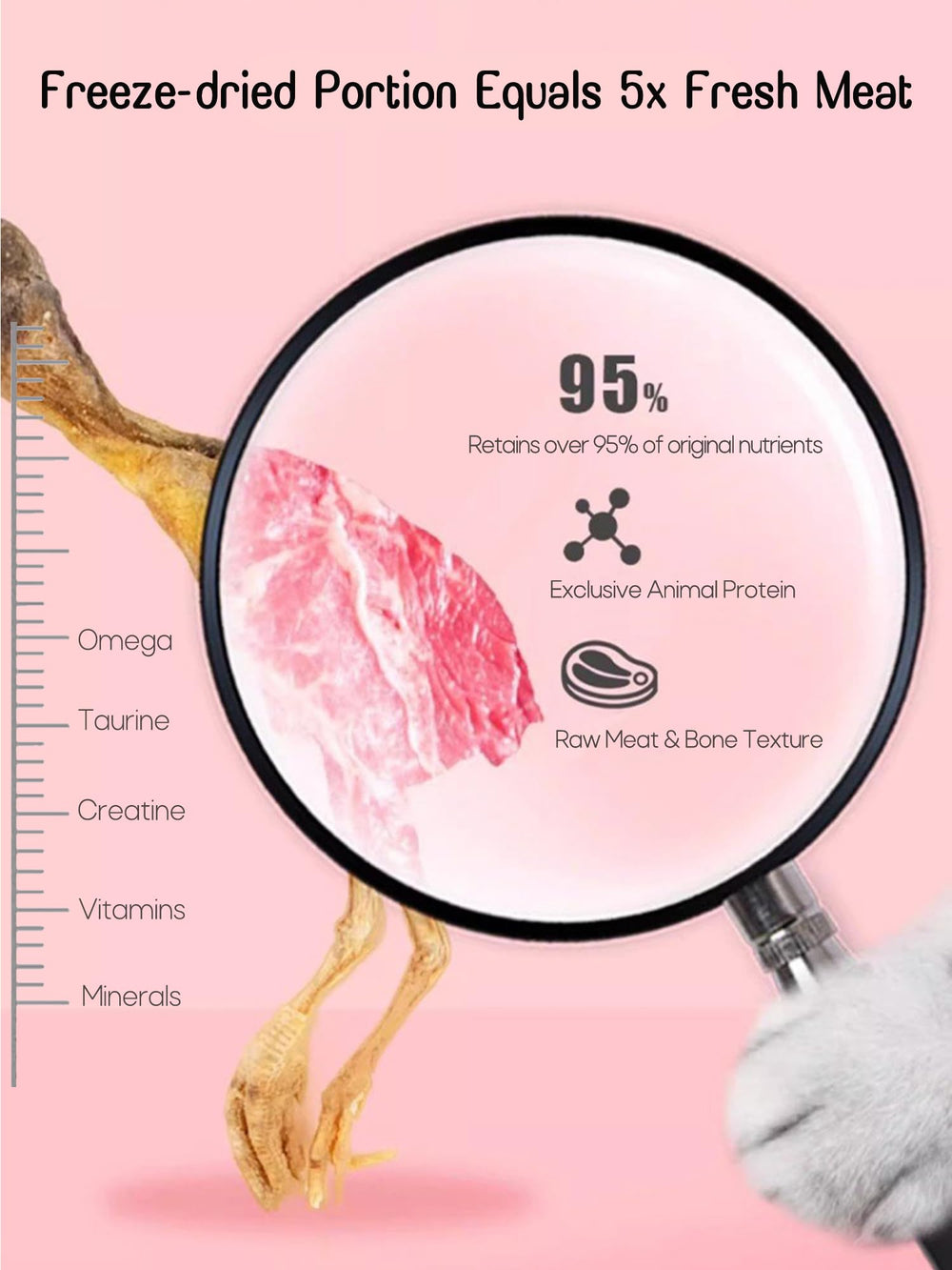 BNYEE caille protéine élevée pour soutenir l'énergie des animaux actifs.