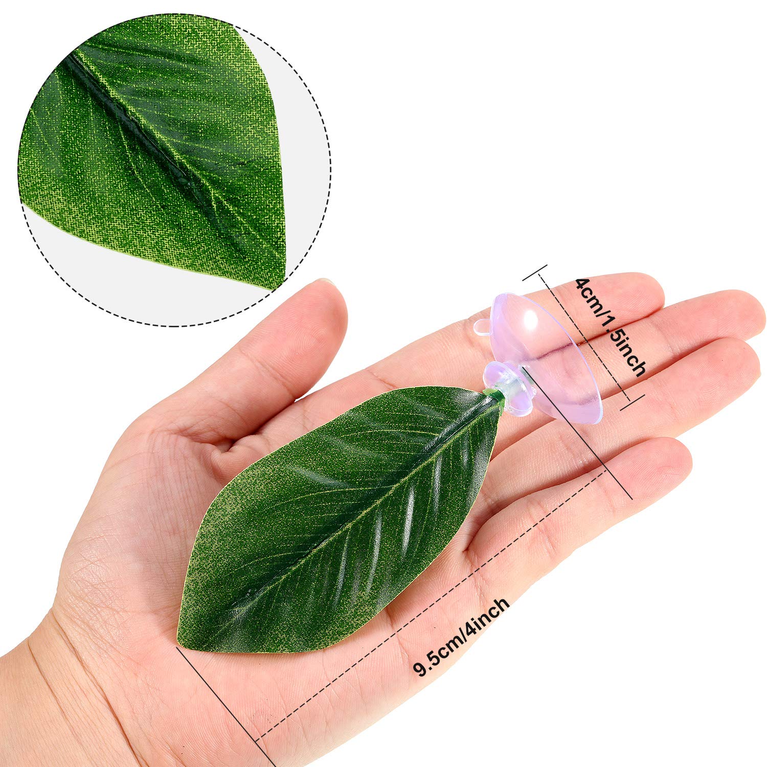 Boao Betta feuille hamac face eau proche surface: fixation simple et sécurité renforcée.