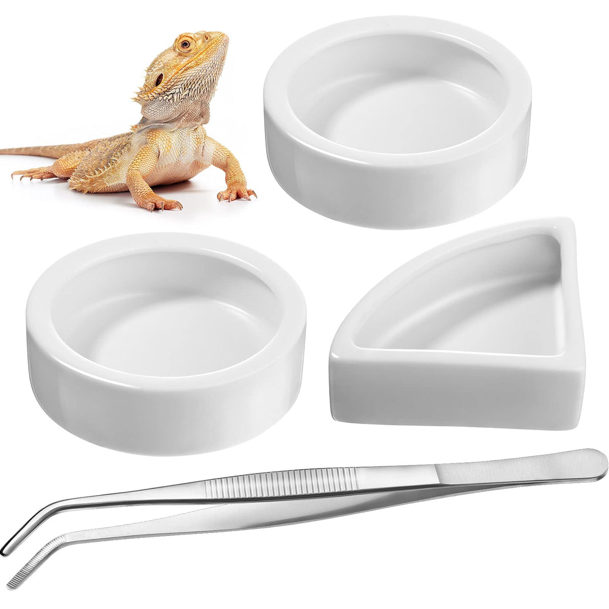 Bol rond Boao en céramique, facile à nettoyer et durable pour reptiles.