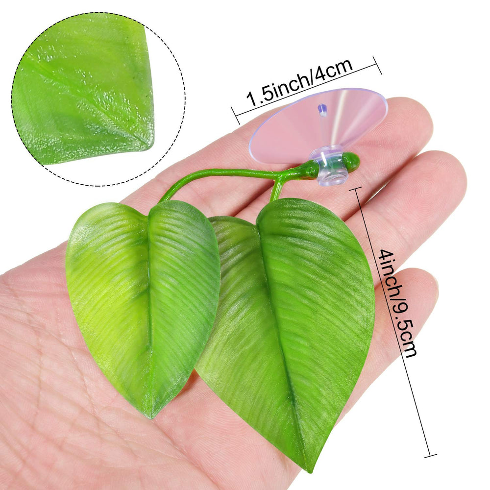 Boao hamac-feuille betta repos près de la surface