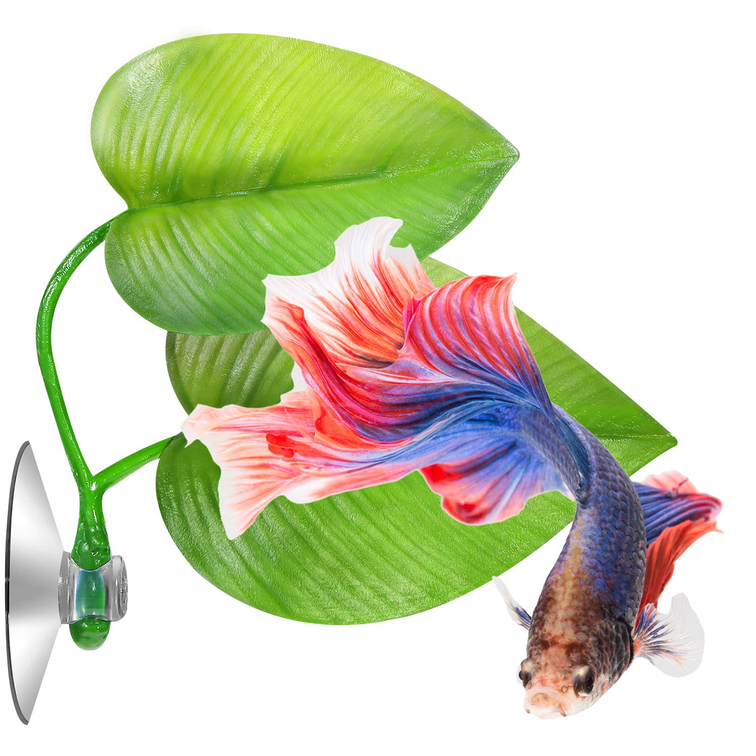 Boao installation rapide du hamac betta en minutes