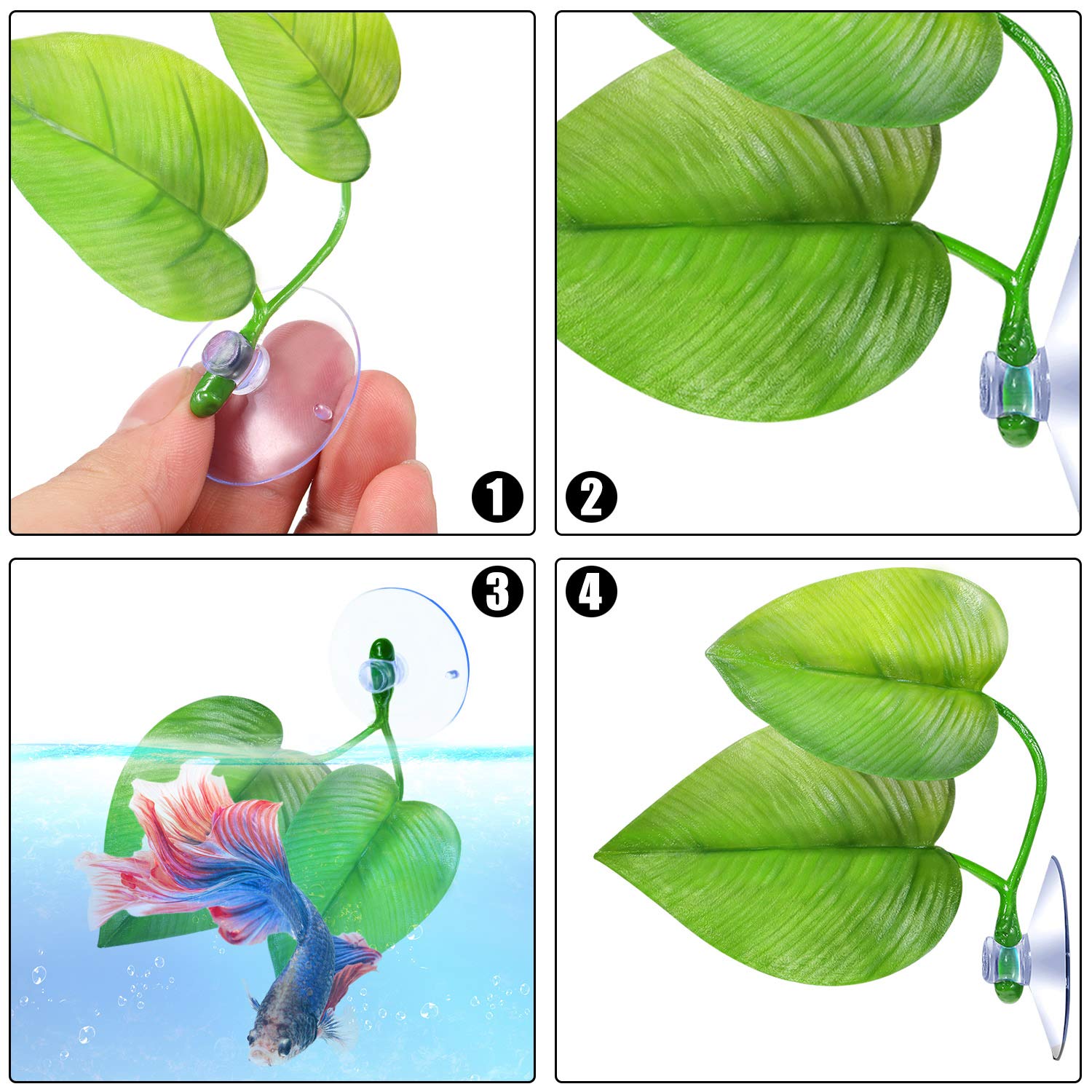 Boao ventouses pour fixation betta sur la surface