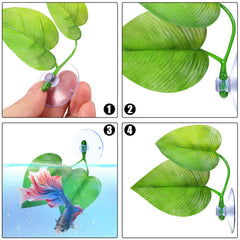 Boao ventouses pour fixation betta sur la surface
