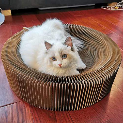 BobbyPet Chat Scratcher Lounge – Design léger et robuste pouvant supporter 25 livres.