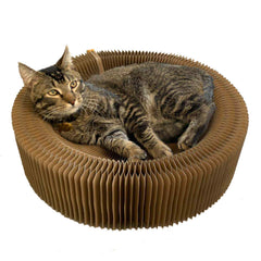 BobbyPet Chat Scratcher Lounge – Nid rond pliable, idéal pour les voyages.