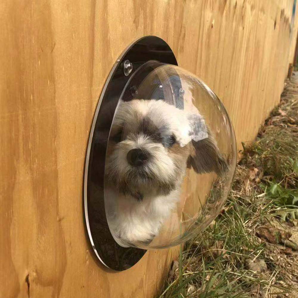 BobbyPet fenetre-dôme clair pour chien, retour à la maison plus accueillant