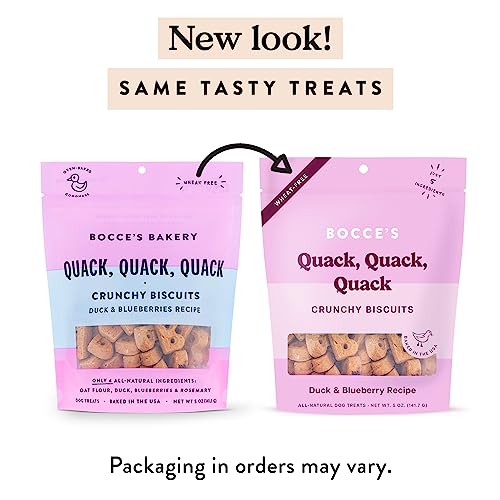 Bocce’s Bakery – biscuits canard et myrtille, texture croquante et goût appétissant.