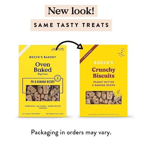 Bocce's Bakery ingrédients flocon avoine – biscuit simple et sain pour chien