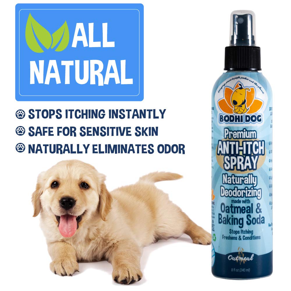 Bodhi Dog Itch Relief Spray démontrant une application rapide et douce.