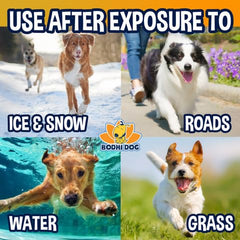 Baume Bodhi Dog protège les pattes contre le froid et le dessèchement hivernal.
