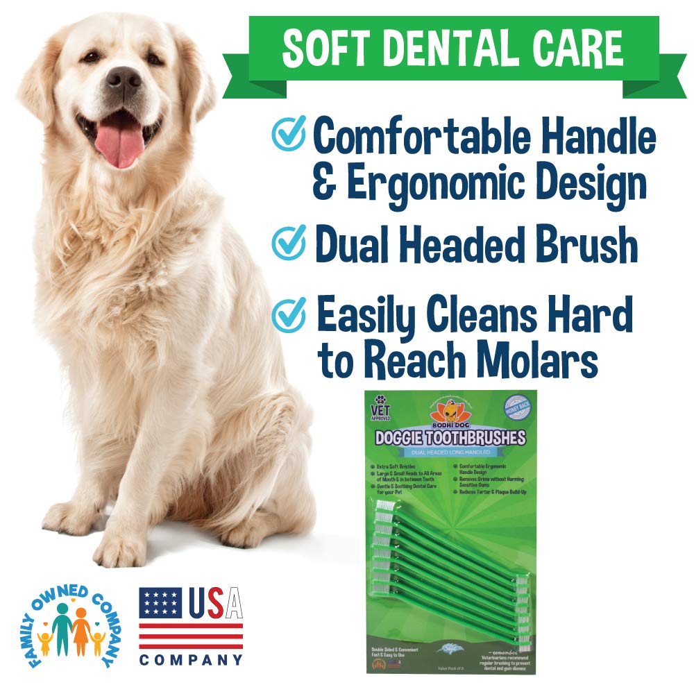 Bodhi Dog brosse-dent fabriqué aux États-Unis, qualité et sécurité.
