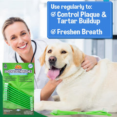 Bodhi Dog brosse-dent utilisation facile pour routine dentaire.