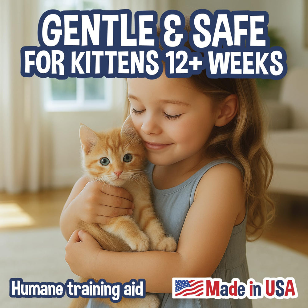 Cat No More Marking! Spray utilisé sur mobilier intérieur pour un intérieur plus propre.