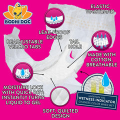 Couches Bodhi Dog jetables anti-fuites pour chienne femelle, protection de l’intérieur.
