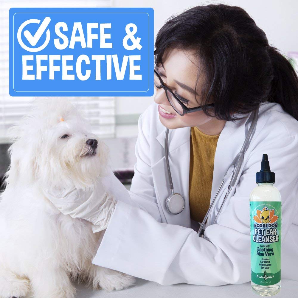 Ingrédients Aloe Vera dans Bodhi Dog Ear Cleaner pour nourrir sans irritations.