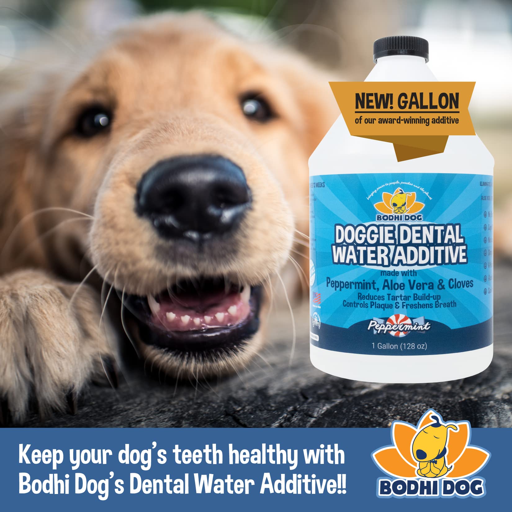 Bodhi Dog Emballage Éco-responsable fabriqué aux États‑Unis, recyclable et sans cruauté animale.