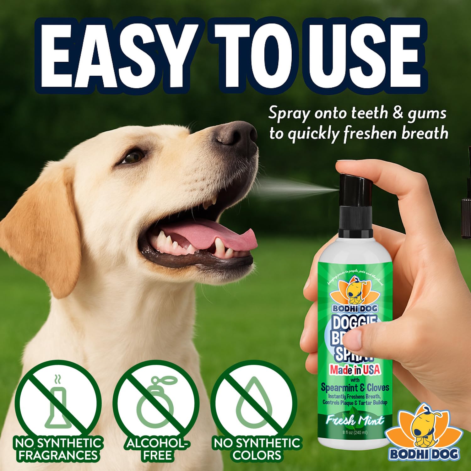 Emballage recyclable Bodhi Dog, choix respectueux de l’environnement.