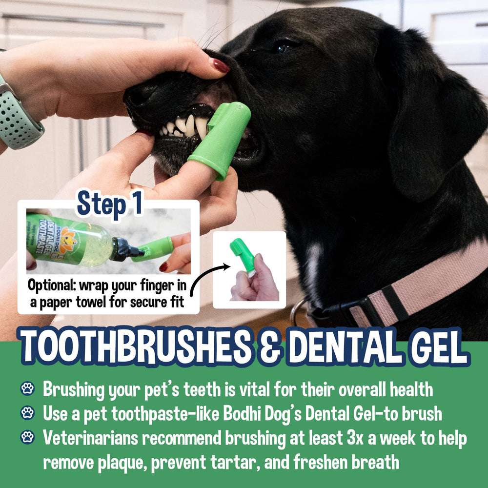 Bodhi Dog Pack 8 Brosses: parfait pour démarrer une routine.