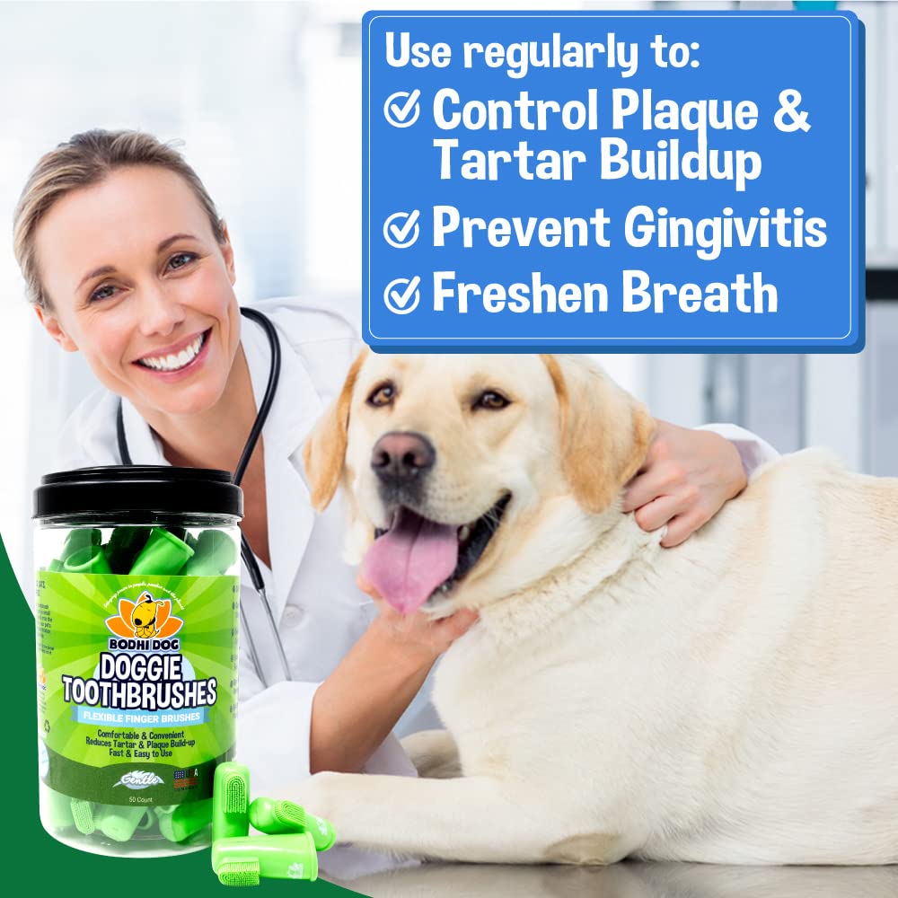 Bodhi Dog : Utilisation domestique facile pour soins dentaires à la maison