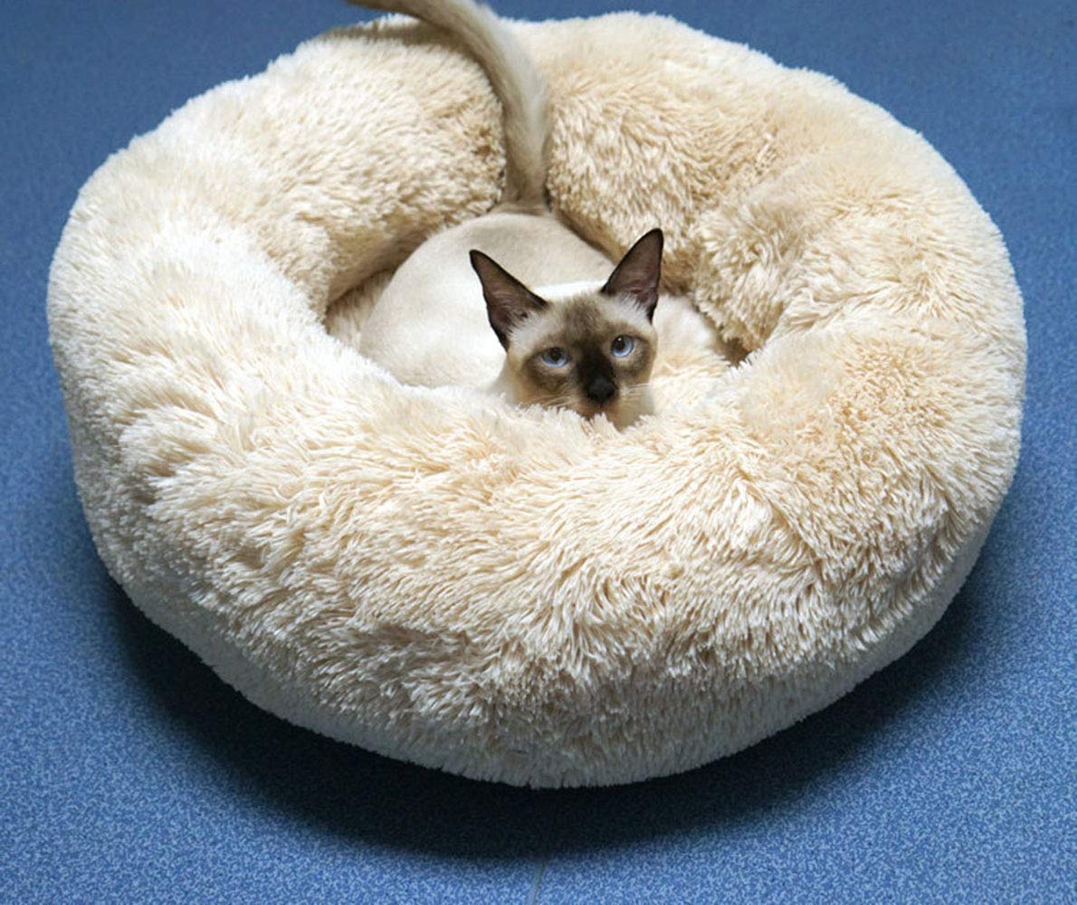 Confort BODISEINT avec rembourrage recyclable pour petit animal.