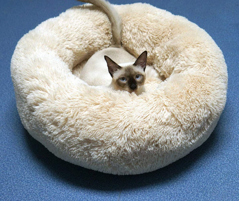 Confort BODISEINT avec rembourrage recyclable pour petit animal.