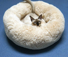 Confort BODISEINT avec rembourrage recyclable pour petit animal.