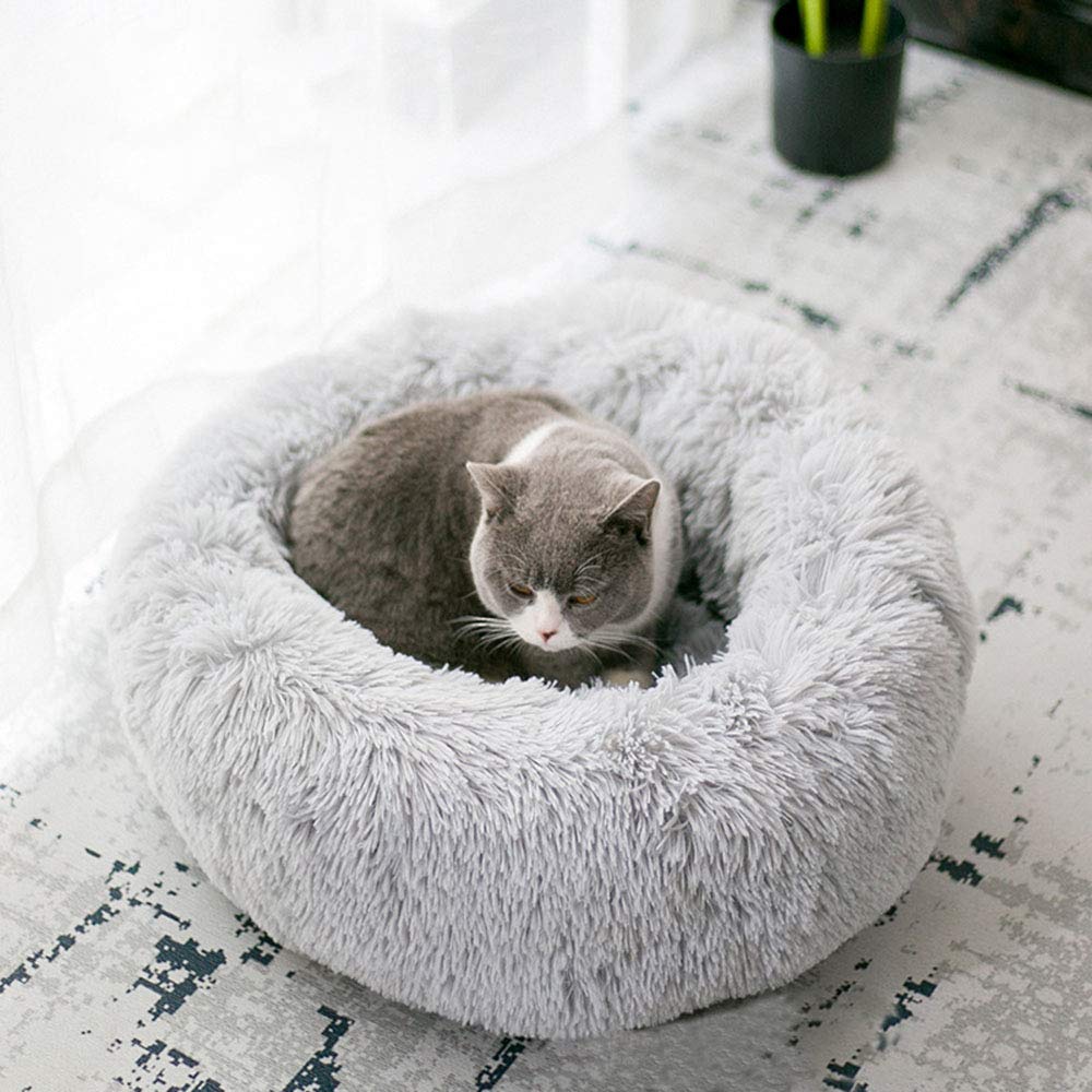 Diamètre 20 po idéal pour petits animaux jusqu'à 9 kg.