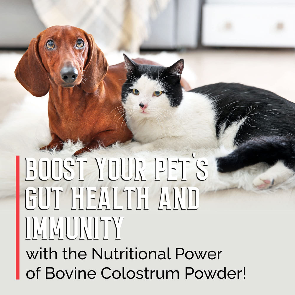 BodyBoost Colostrum Bovin usage-quotidien: soutien au bien-être global des animaux.