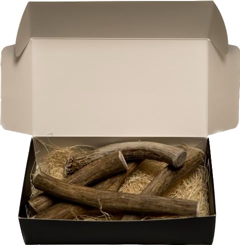 Cornes Élan Bio – gros plan sur une pièce naturelle et résistante.
