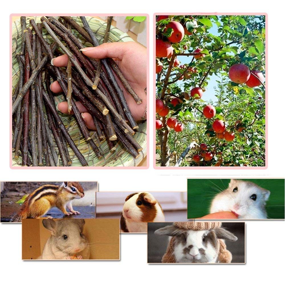 Bojafa jouets dentaires pour petits animaux, stimule l'activité masticatoire et apaise l'ennui.