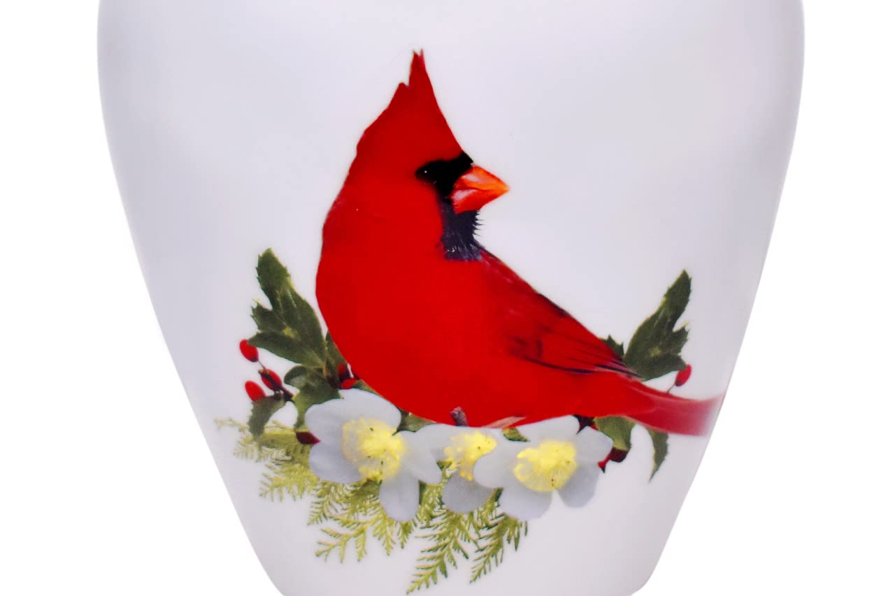 Urne Bold & Divine pour adultes, cardinal rouge, bande velours, base feutrée protège meubles tout en élégance.