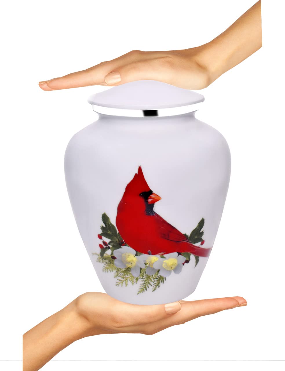 Urne Bold & Divine pour adultes, cardinal rouge, emblème, motif élégant offrant symbole réconfortant et intemporel.