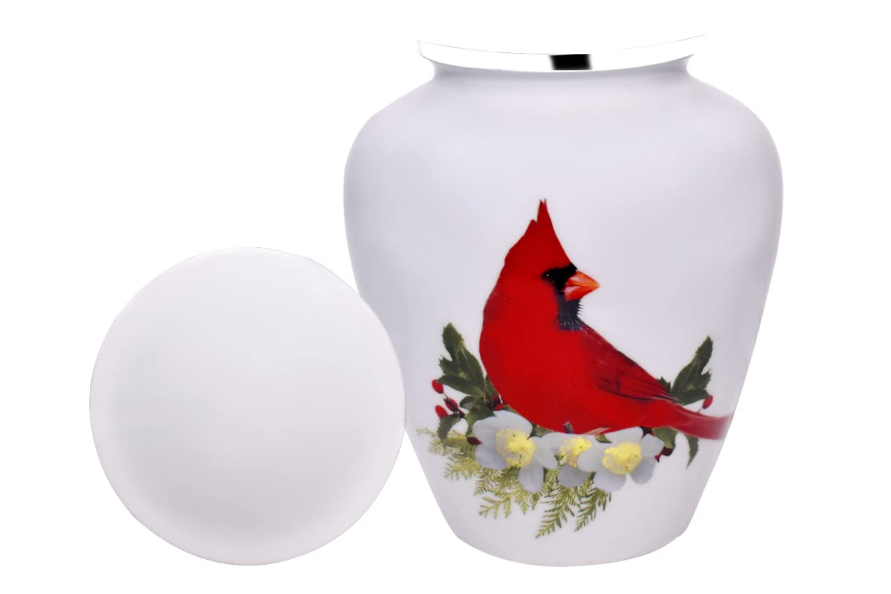 Urne Bold & Divine pour adultes, cardinal rouge, profil élégant, silhouette raffinée prête à être exposée.