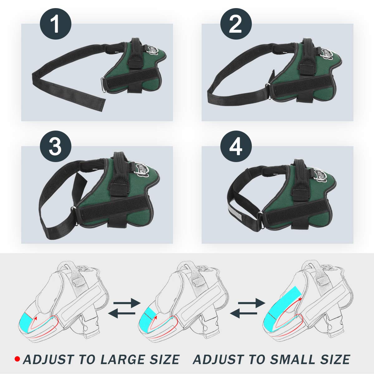 Anneau pour laisse Bolux – fixation simple et controle proche de soi.