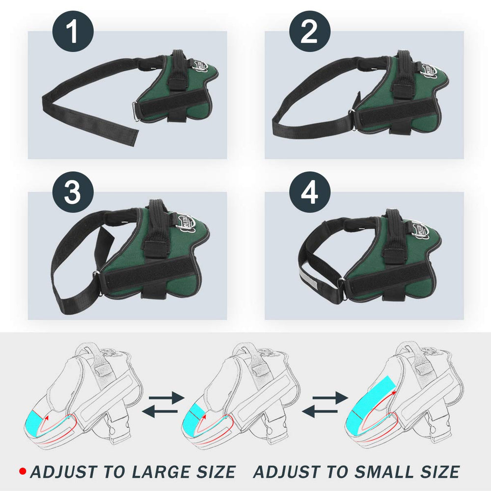 Anneau pour laisse Bolux – fixation simple et controle proche de soi.