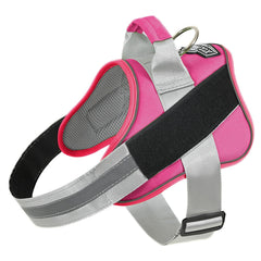 Harnais Bolux petit chien fuchsia sans tirage pour promenade légère