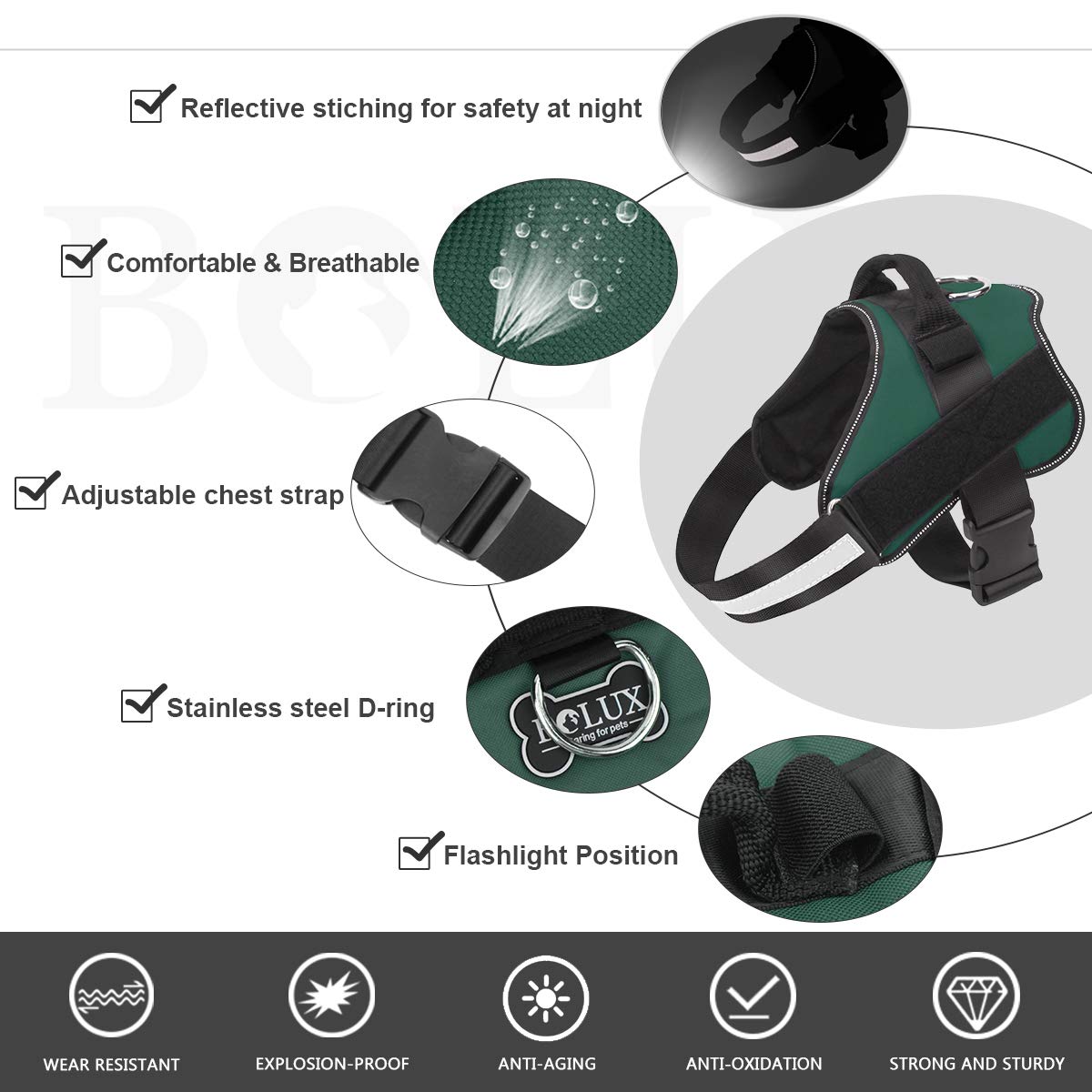 Poignee integree Bolux pour un controle securisant pendant les promenades.