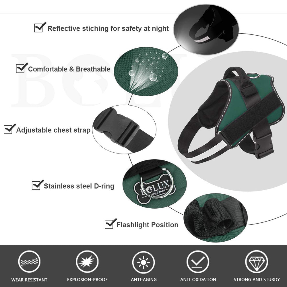 Poignee integree Bolux pour un controle securisant pendant les promenades.